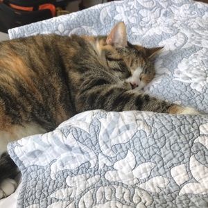 Meet your Posher, Mary elizabeth